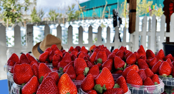 Colors of art and the spirit of Asiri hospitality